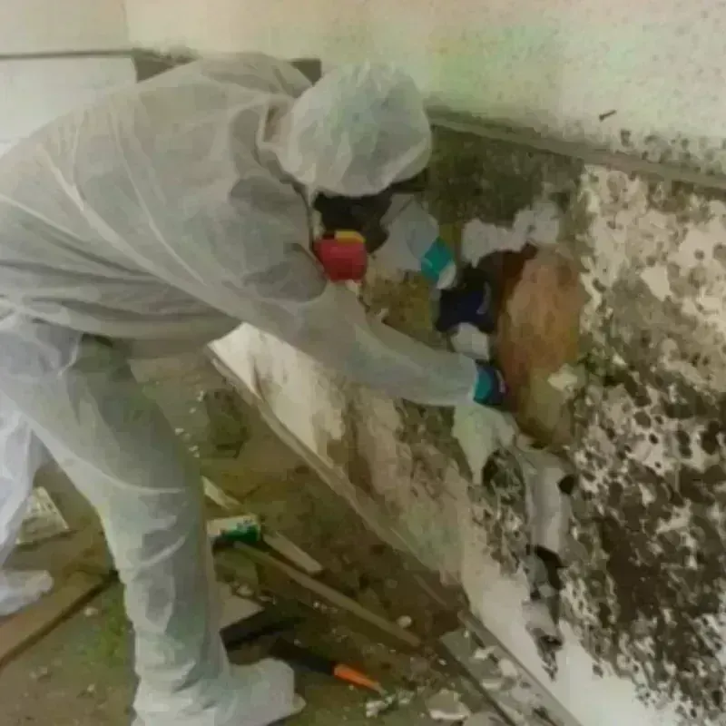 Mold Remediation and Removal in Hartford, ME